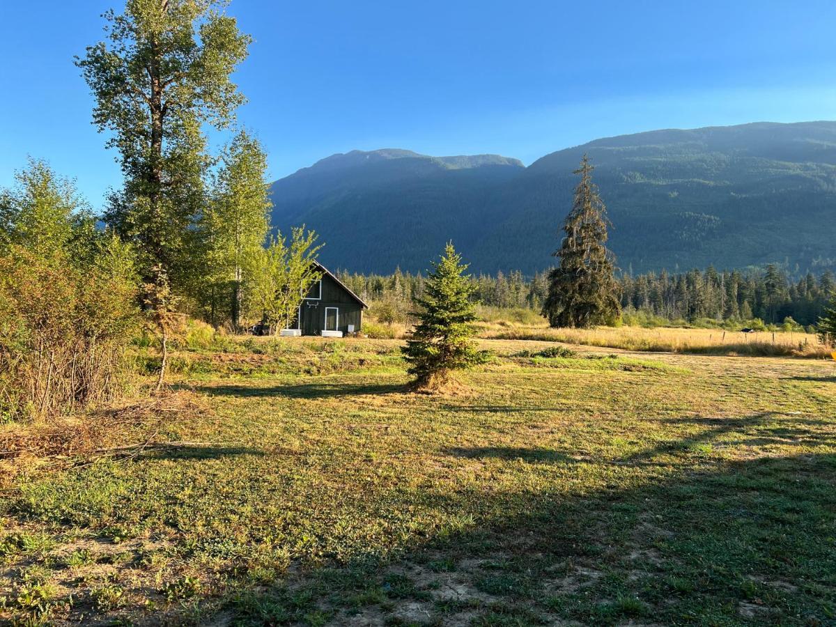Country Home, Sleeps 6 Pets Friendly Порт Алберни Екстериор снимка